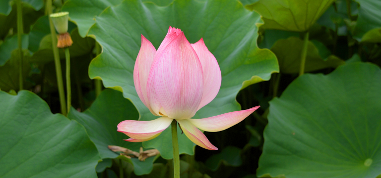 Maywindのつぶやき